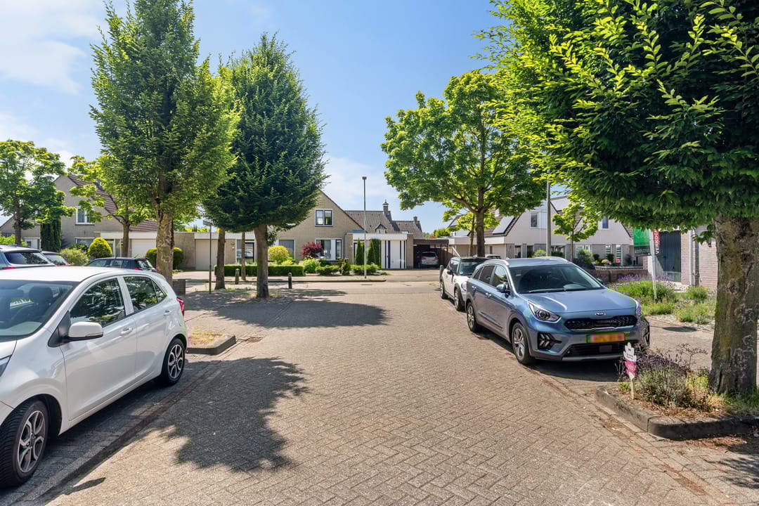 Foto 2 van Koolzaadbeemd 5