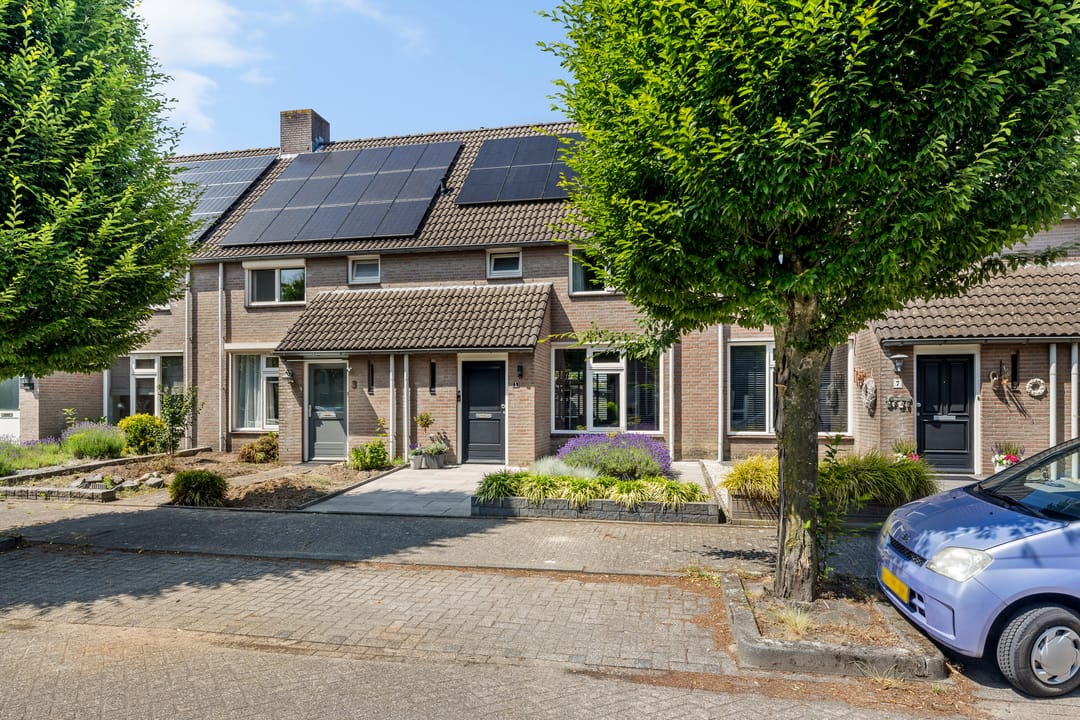 Foto 28 van Koolzaadbeemd 5