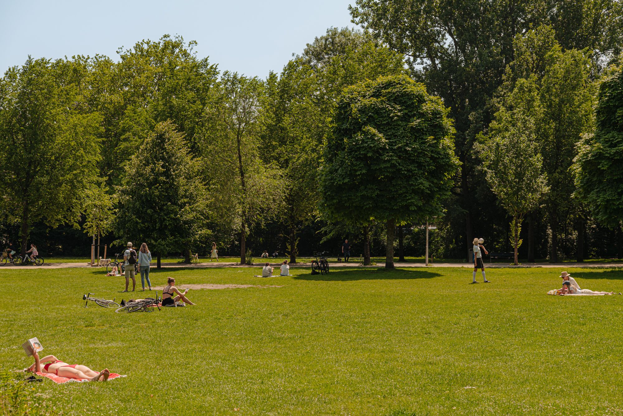 Foto 42 van Kanaalstraat 26-H