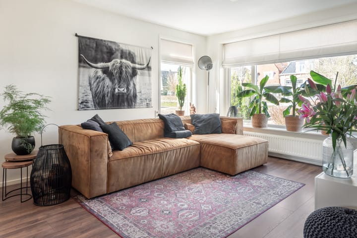 Foto 3 van het Meer 22