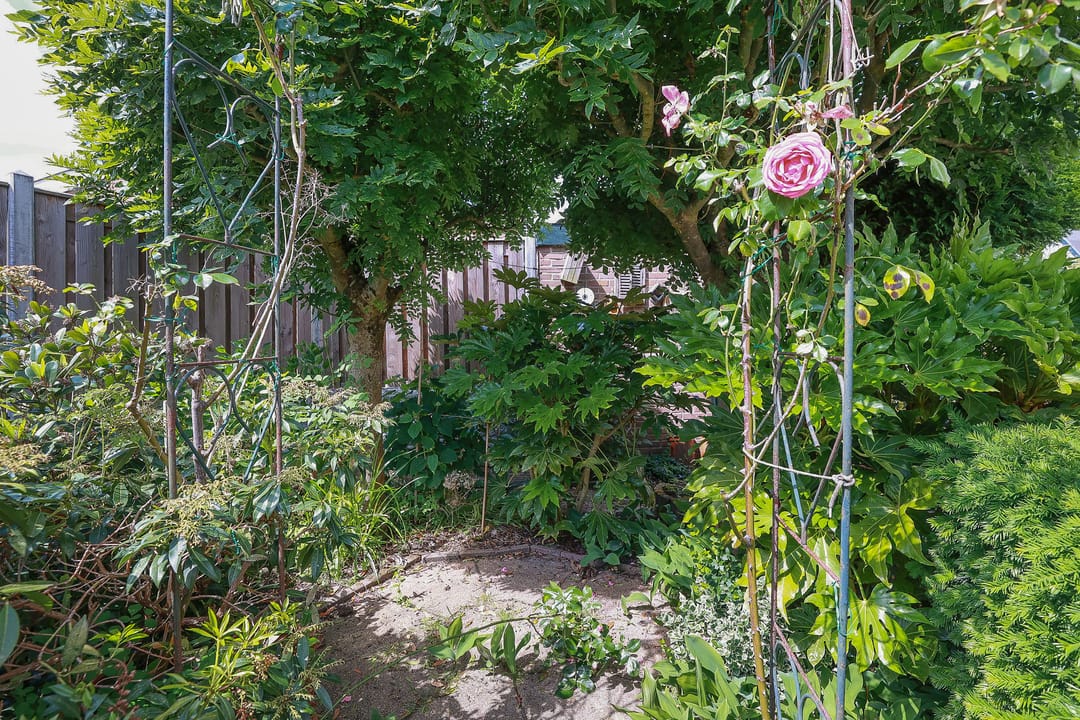 Foto 52 van Hoofdstraat 88