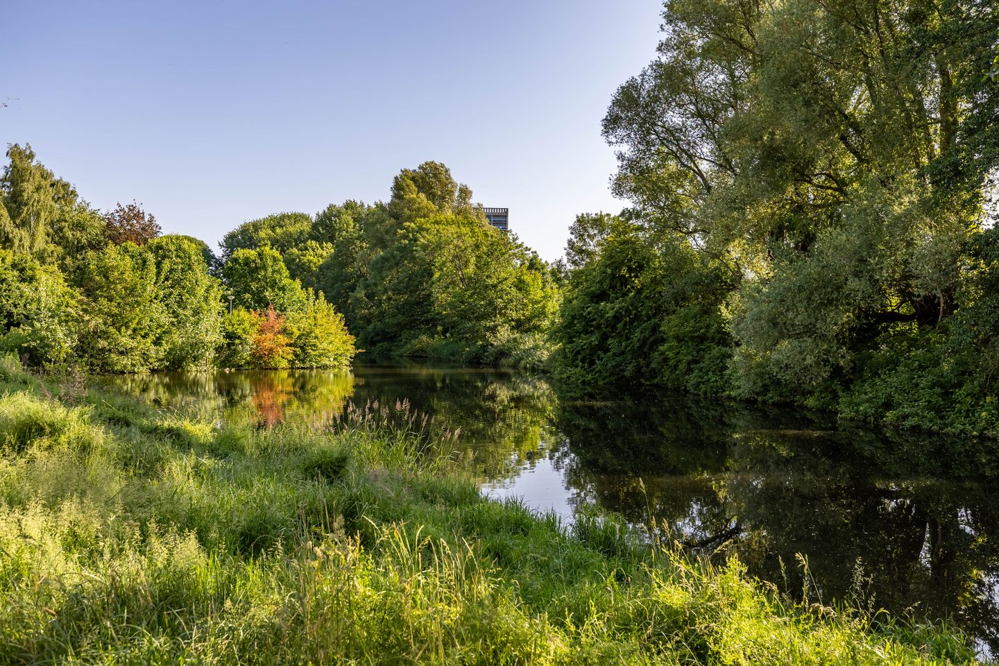 Foto 4 van Populierenlaan 42