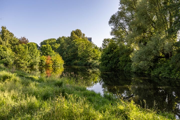 Foto 4 van Populierenlaan 42