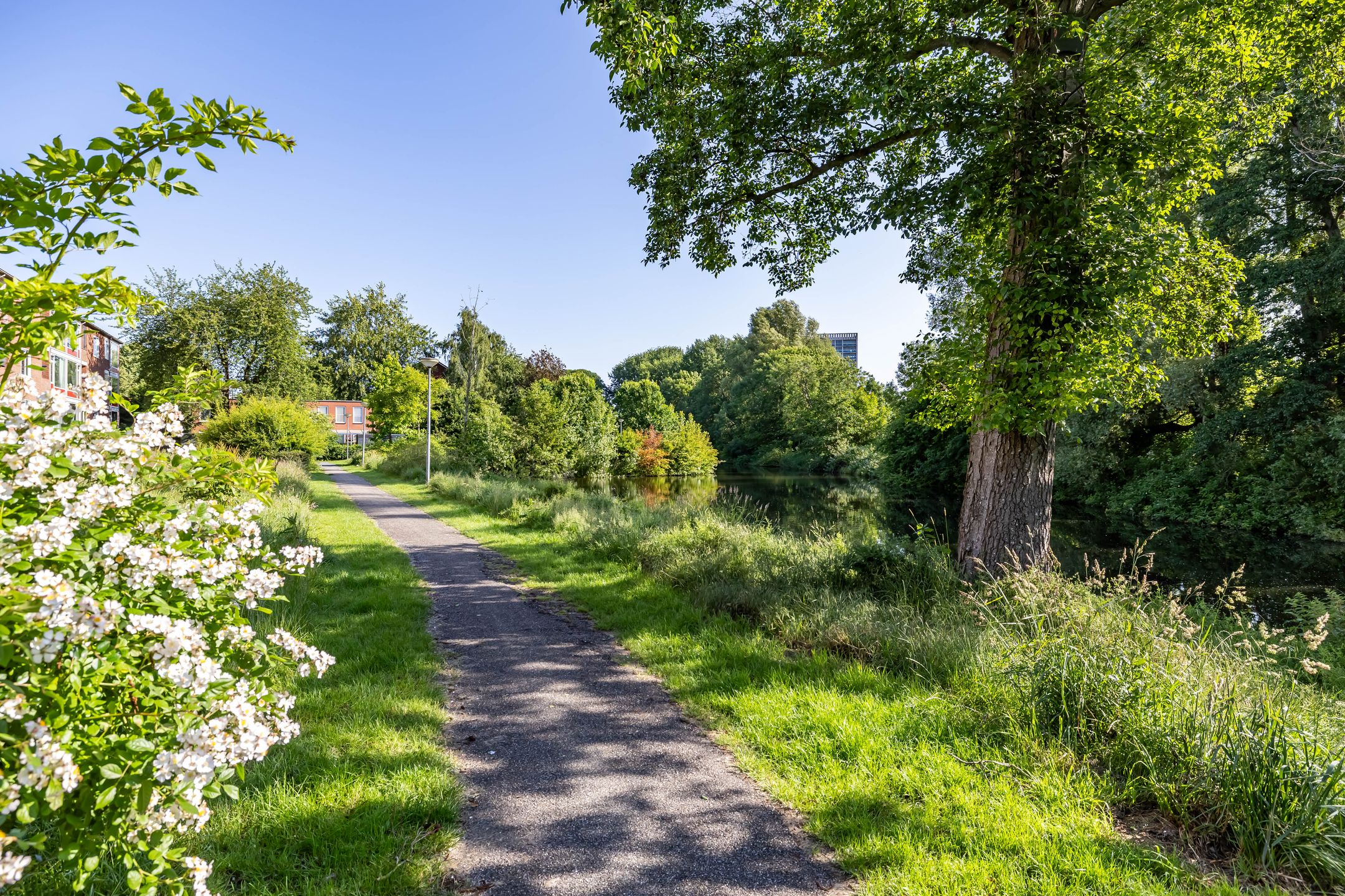 Foto 54 van Populierenlaan 42
