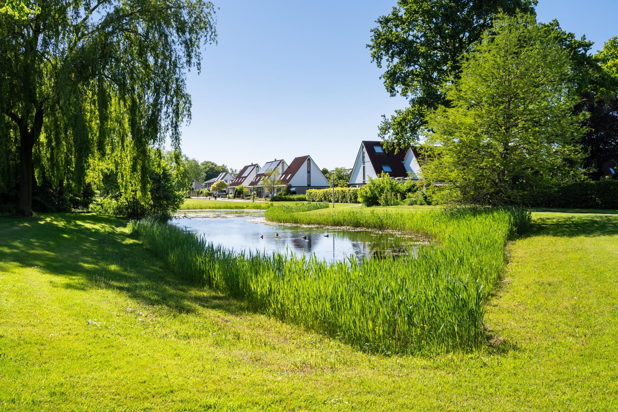 Foto 36 van Evertsmaad 12