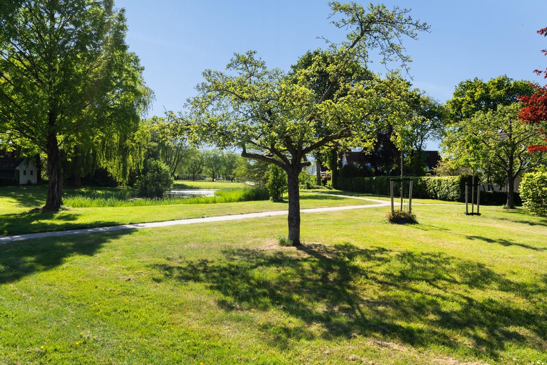 Foto 37 van Evertsmaad 12