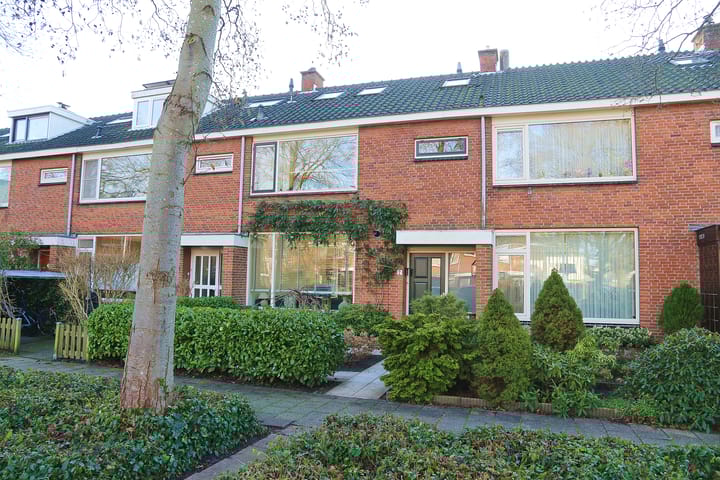 Van den Rijnplantsoen 2