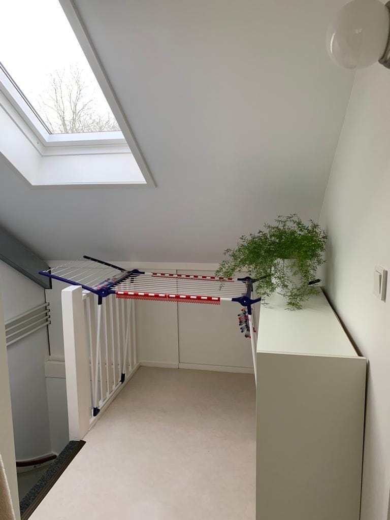 Photo 24 of Van den Rijnplantsoen 2