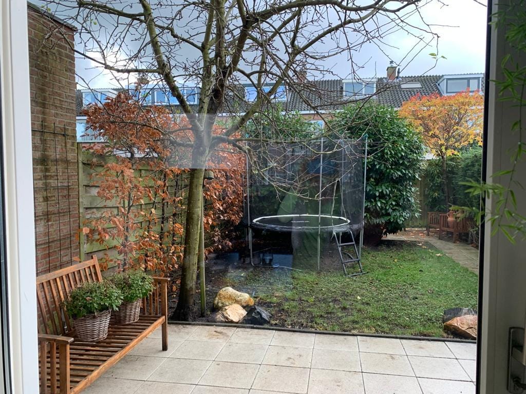 Photo 26 of Van den Rijnplantsoen 2