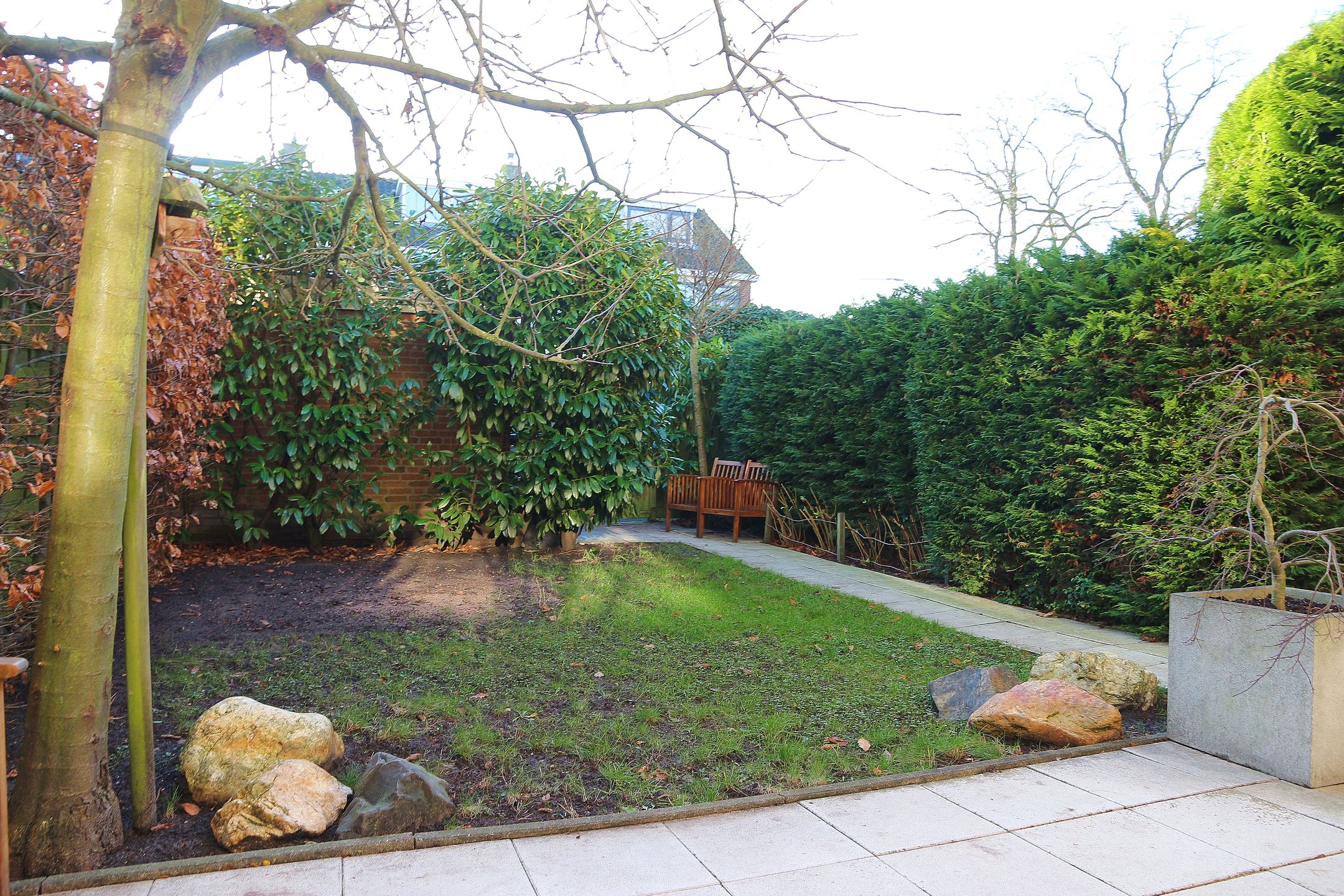 Photo 27 of Van den Rijnplantsoen 2