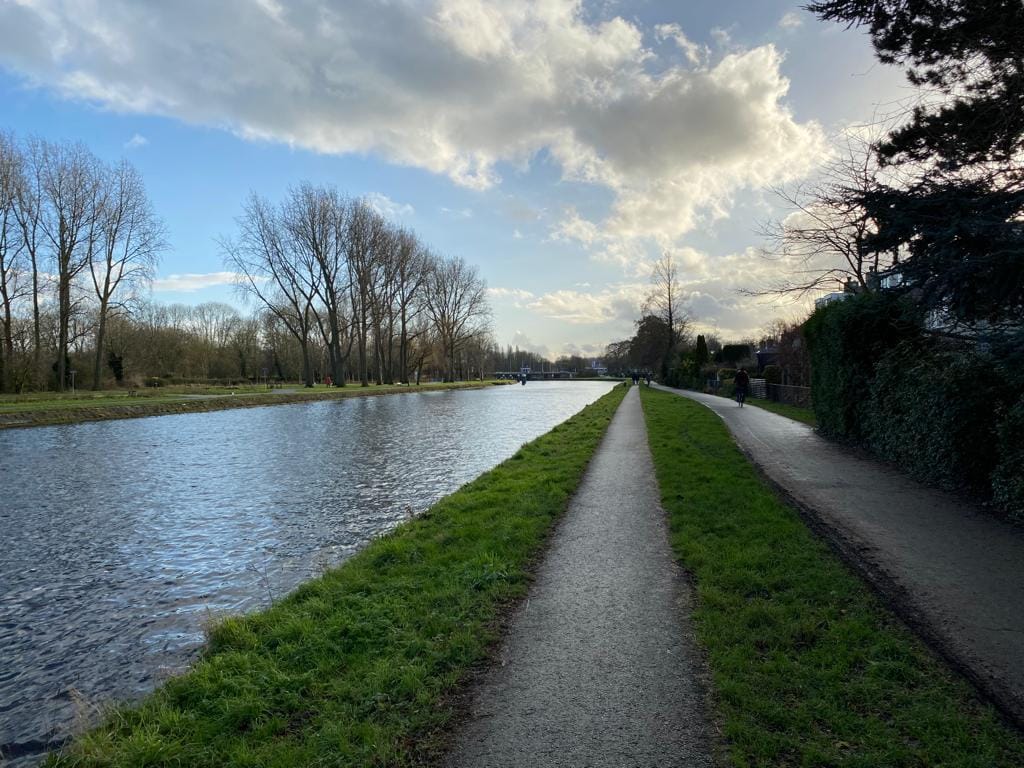 Photo 30 of Van den Rijnplantsoen 2