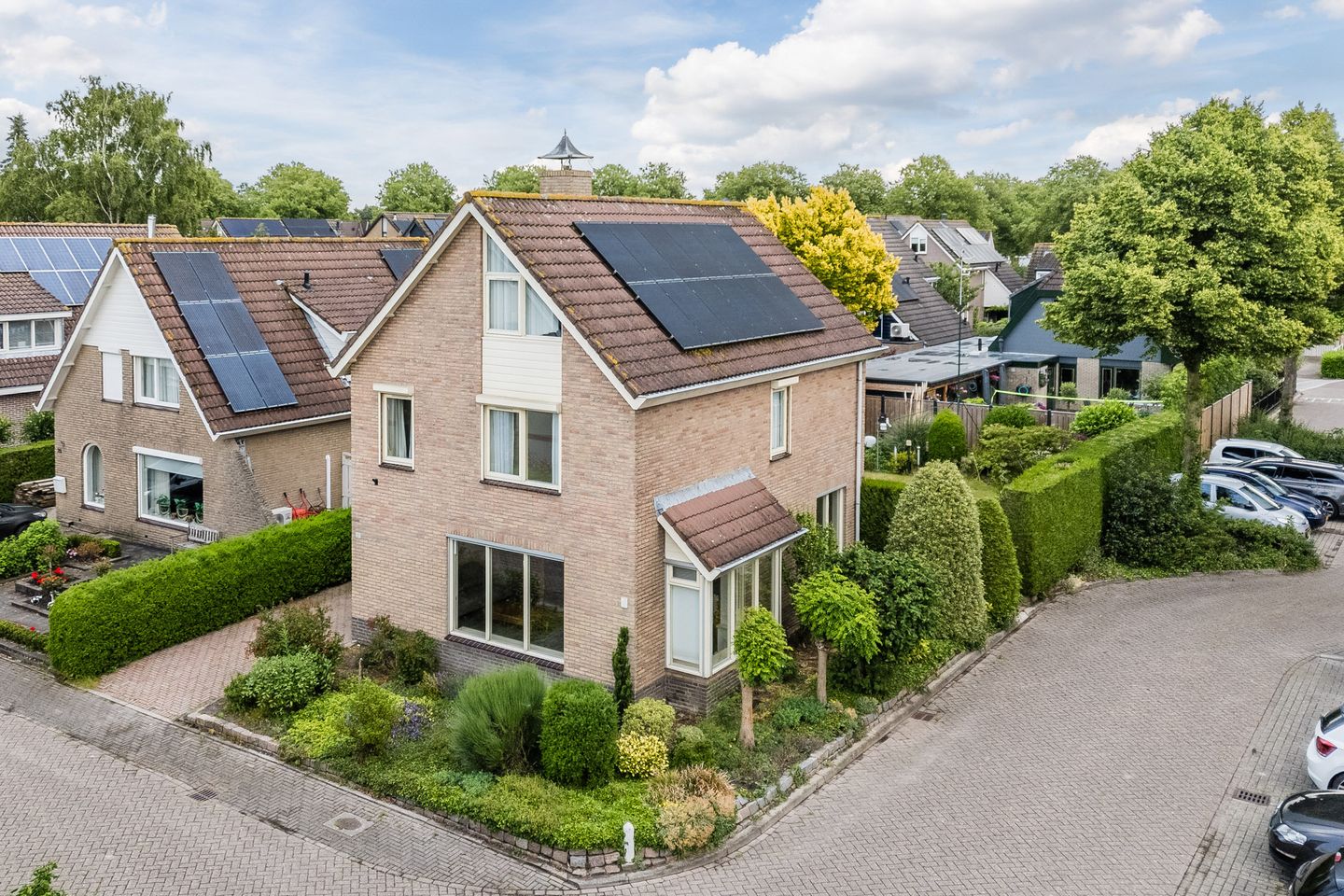 Foto 1 van Kwikstaart 27