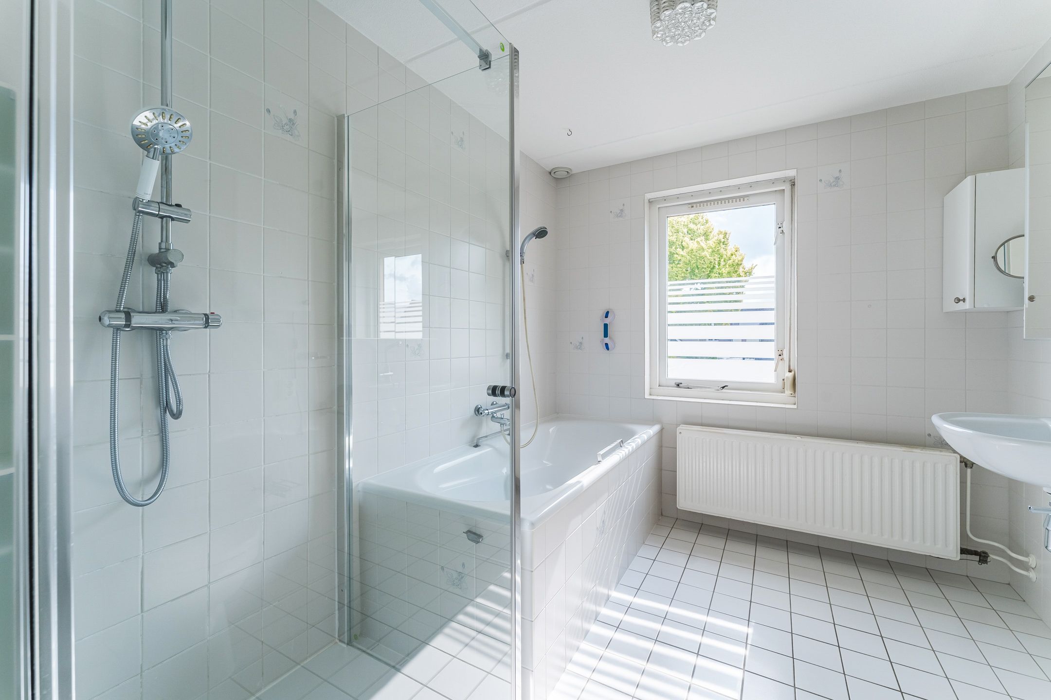 Foto 24 van Kwikstaart 27