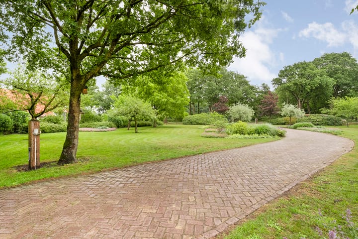 Foto 13 van Wittelterweg 6