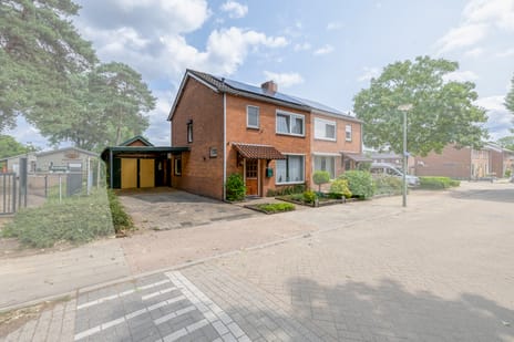 undefined main image