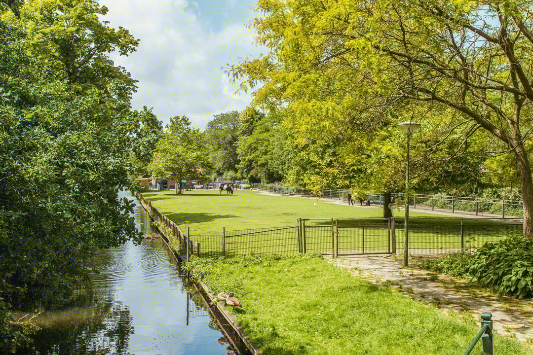 Photo 22 of Lavendelstraat 2