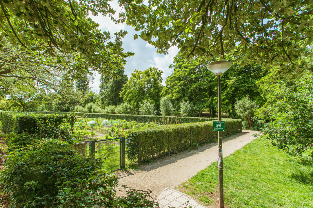 Photo 23 of Lavendelstraat 2