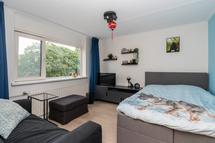 Foto 12 van Dodaarslaan 13