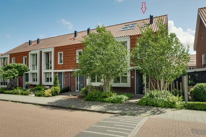 undefined main image