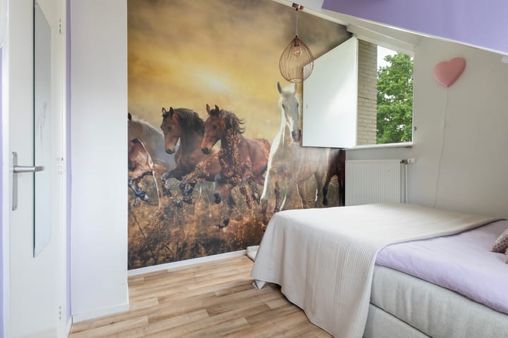 Foto 42 van De Kamp 5