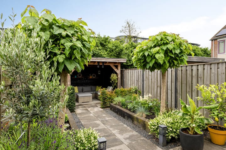 Photo 21 of Lemoen 67