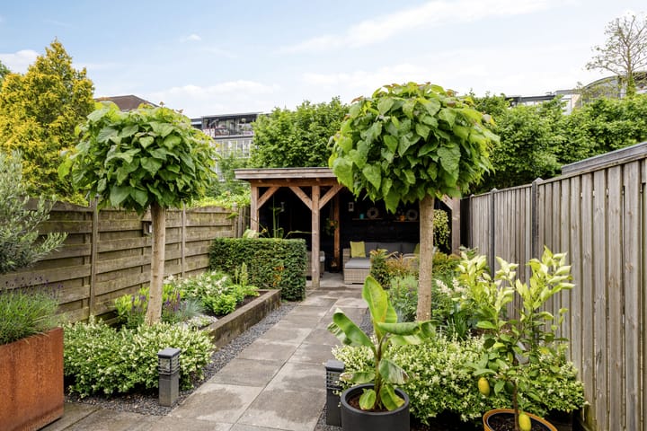 Photo 22 of Lemoen 67