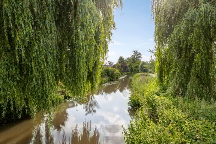 Photo 28 of Lemoen 67