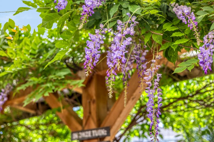 Foto 29 van Robijnstraat 4