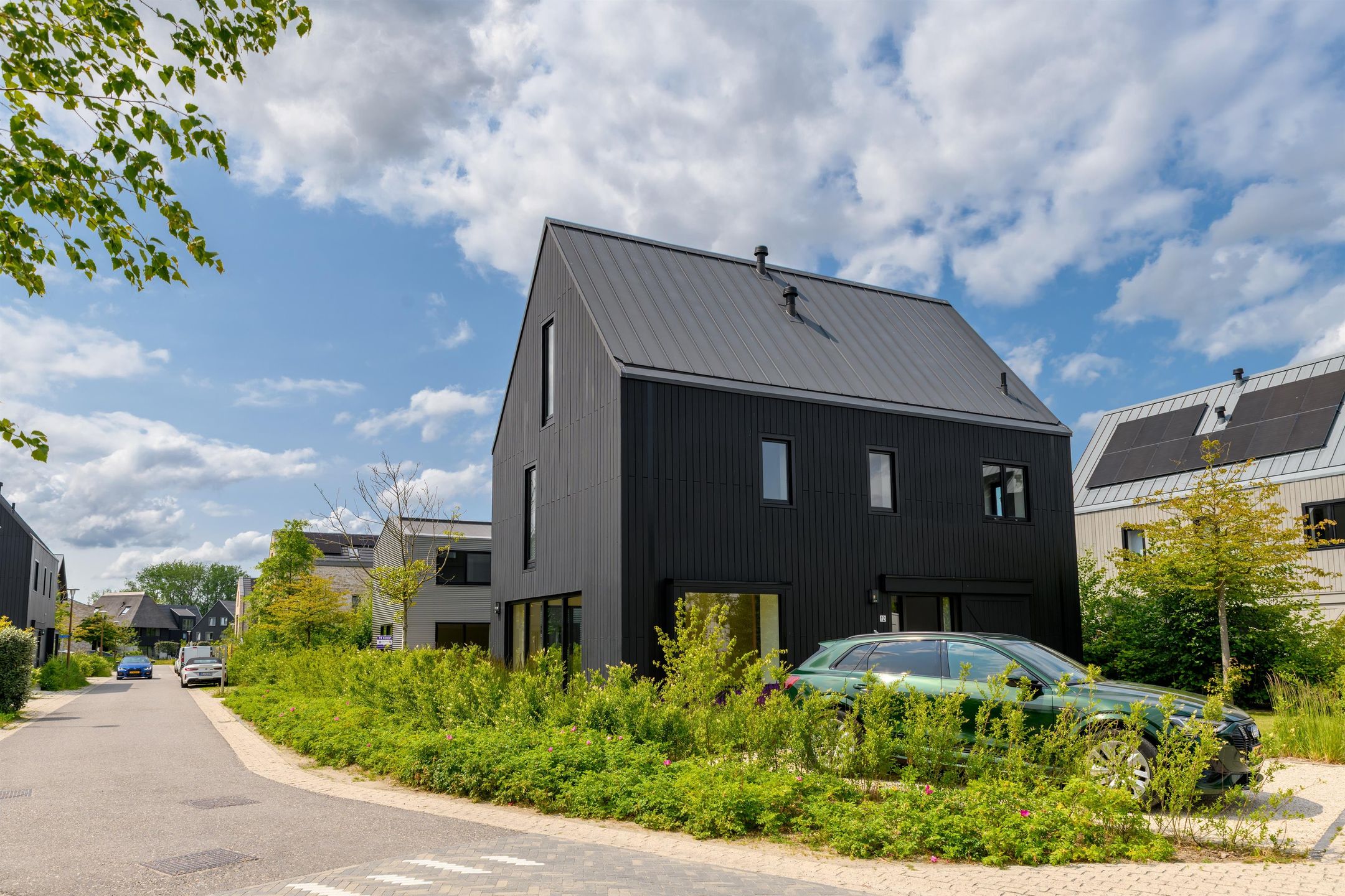 Foto 12 van IJsvogel 12