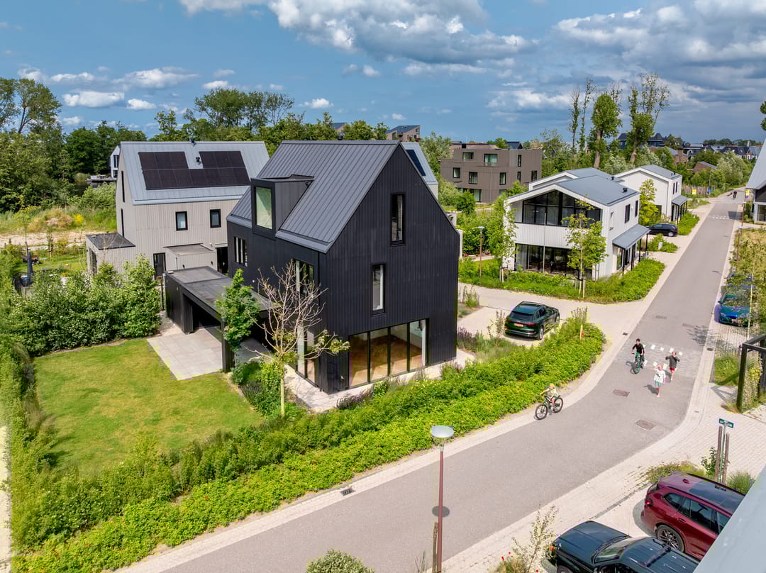 Foto 2 van IJsvogel 12