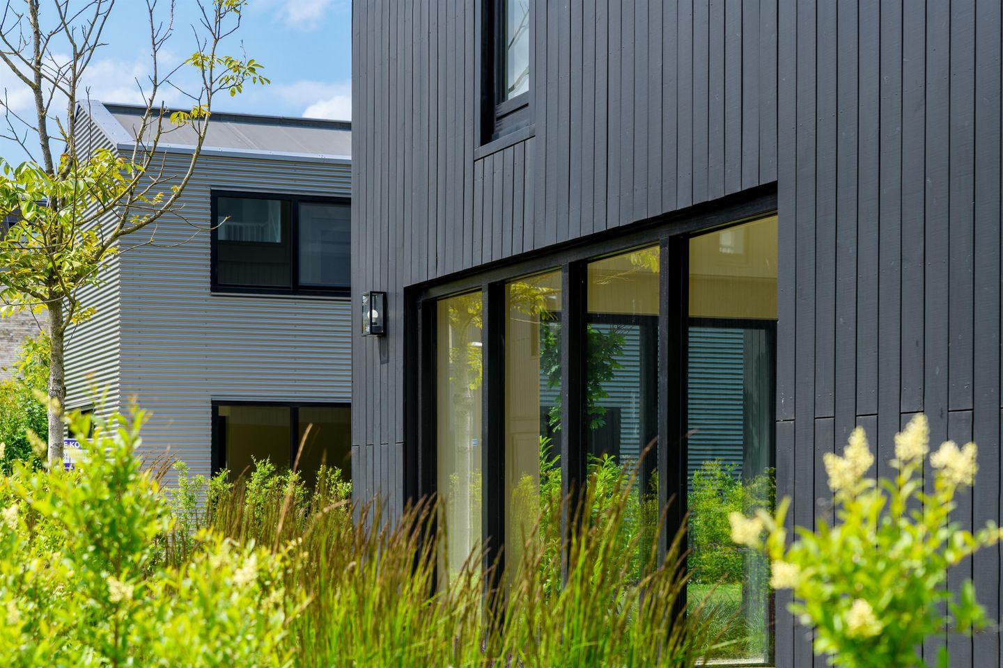 Foto 35 van IJsvogel 12