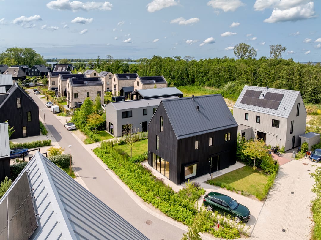 Foto 11 van IJsvogel 12