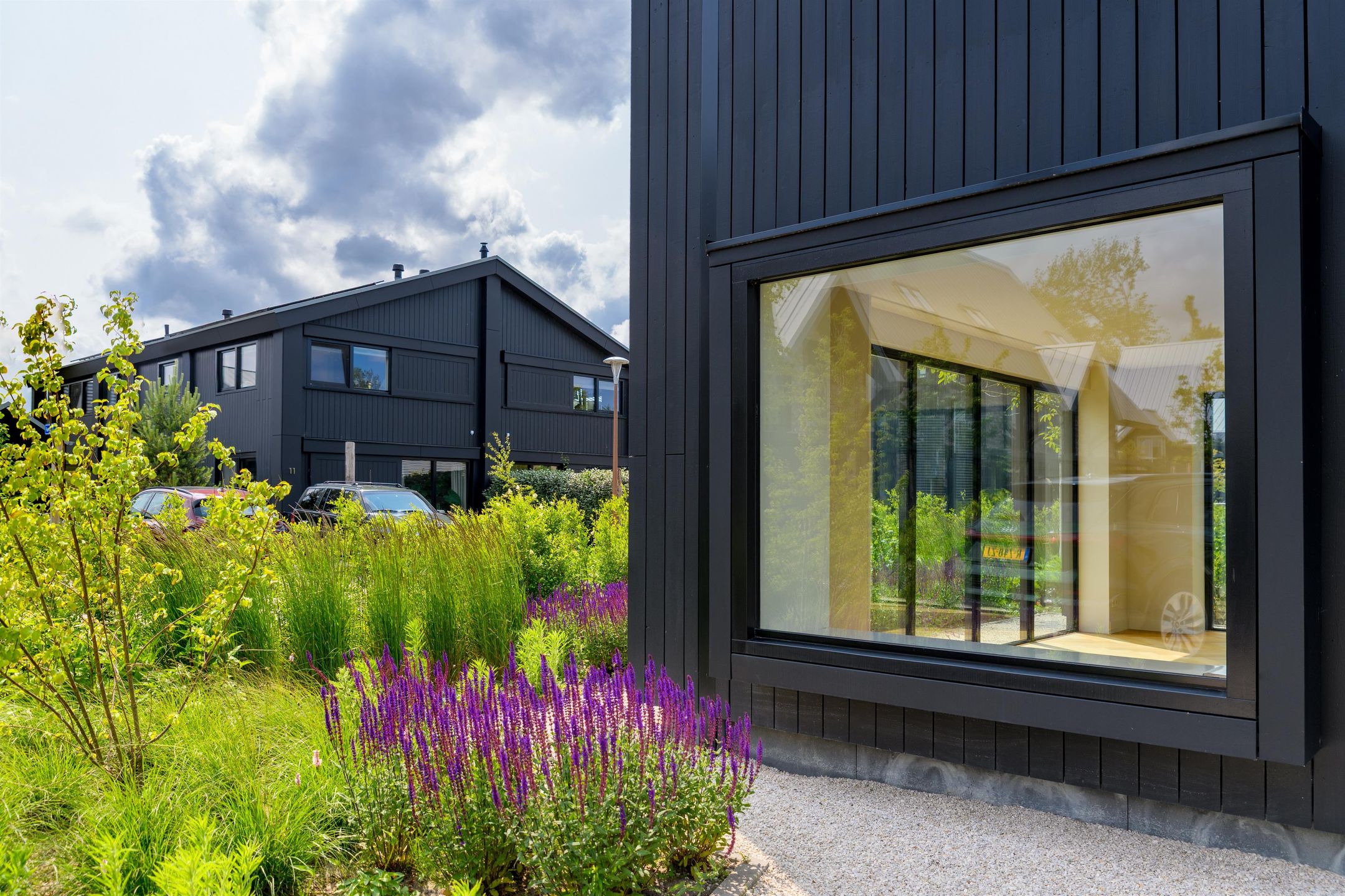 Foto 15 van IJsvogel 12