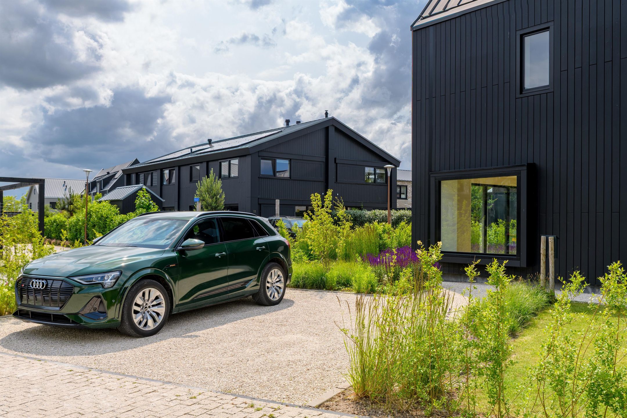 Foto 33 van IJsvogel 12