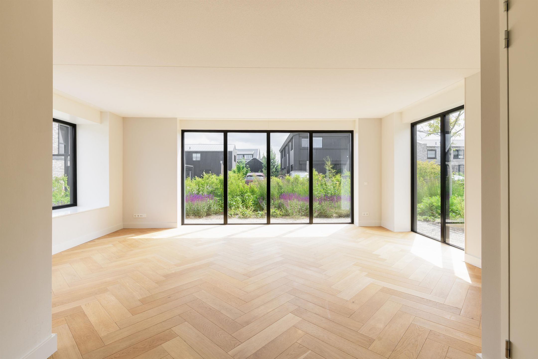 Foto 3 van IJsvogel 12