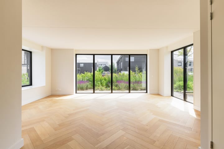 Foto 3 van IJsvogel 12