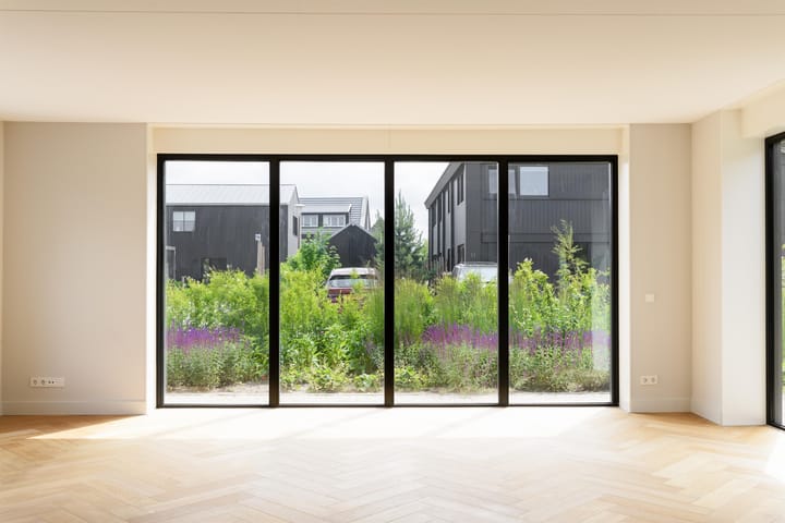 Foto 5 van IJsvogel 12