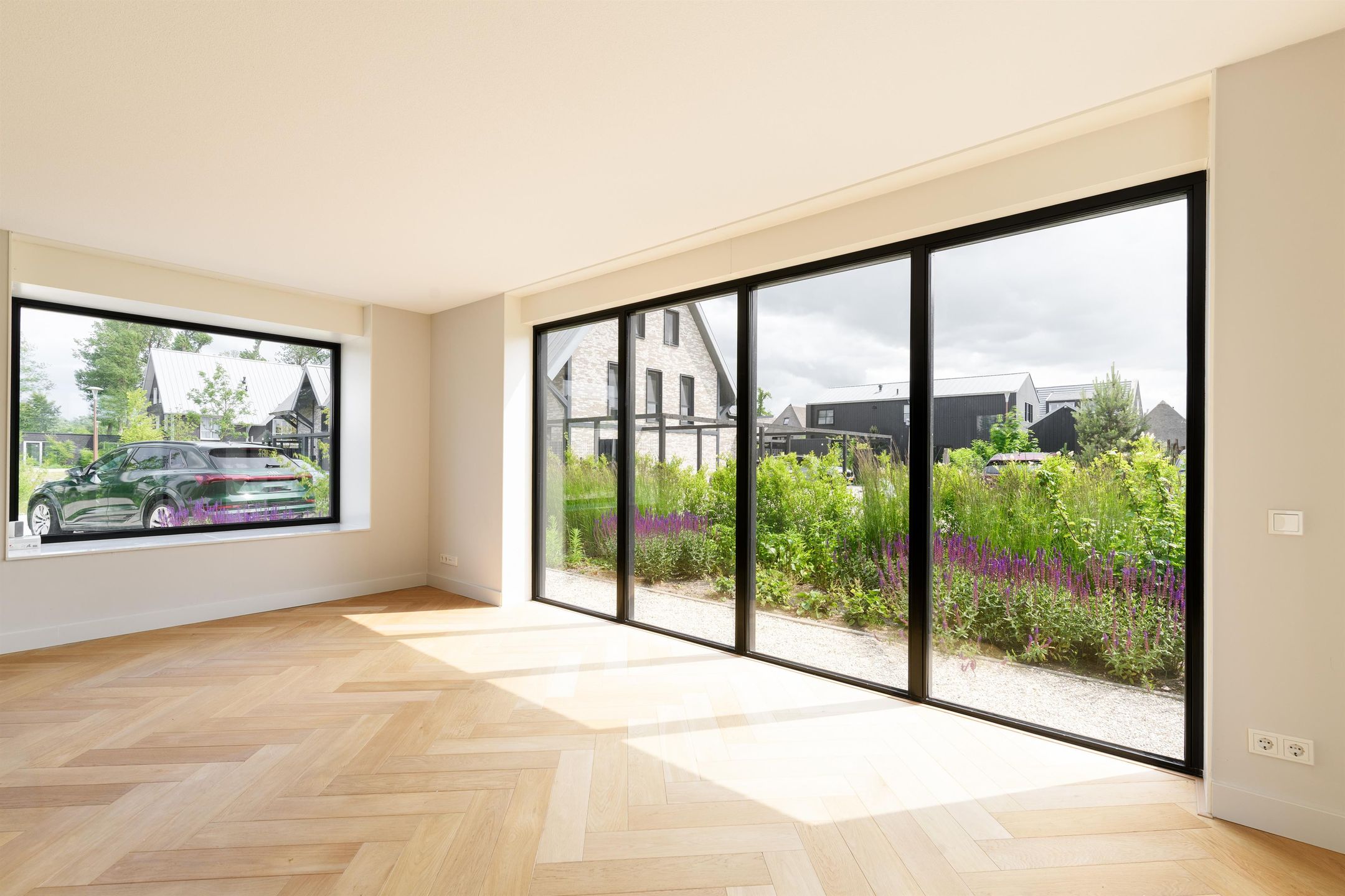 Foto 6 van IJsvogel 12