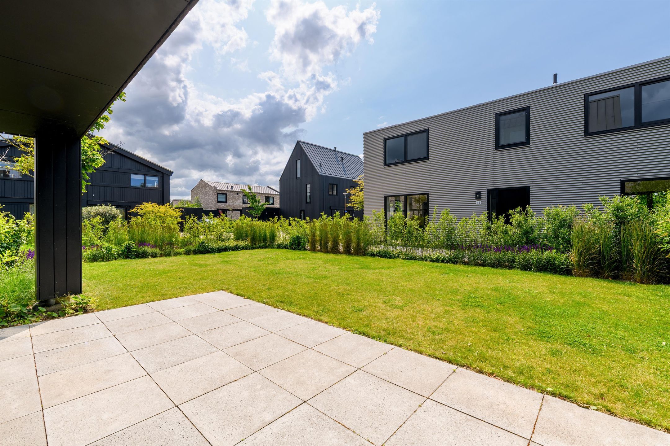 Foto 18 van IJsvogel 12