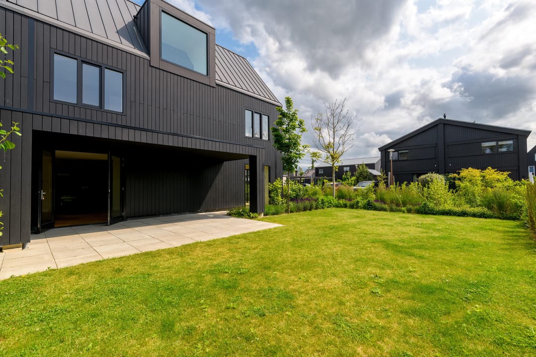 Foto 13 van IJsvogel 12