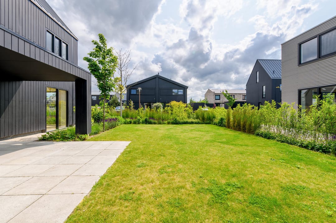 Foto 17 van IJsvogel 12