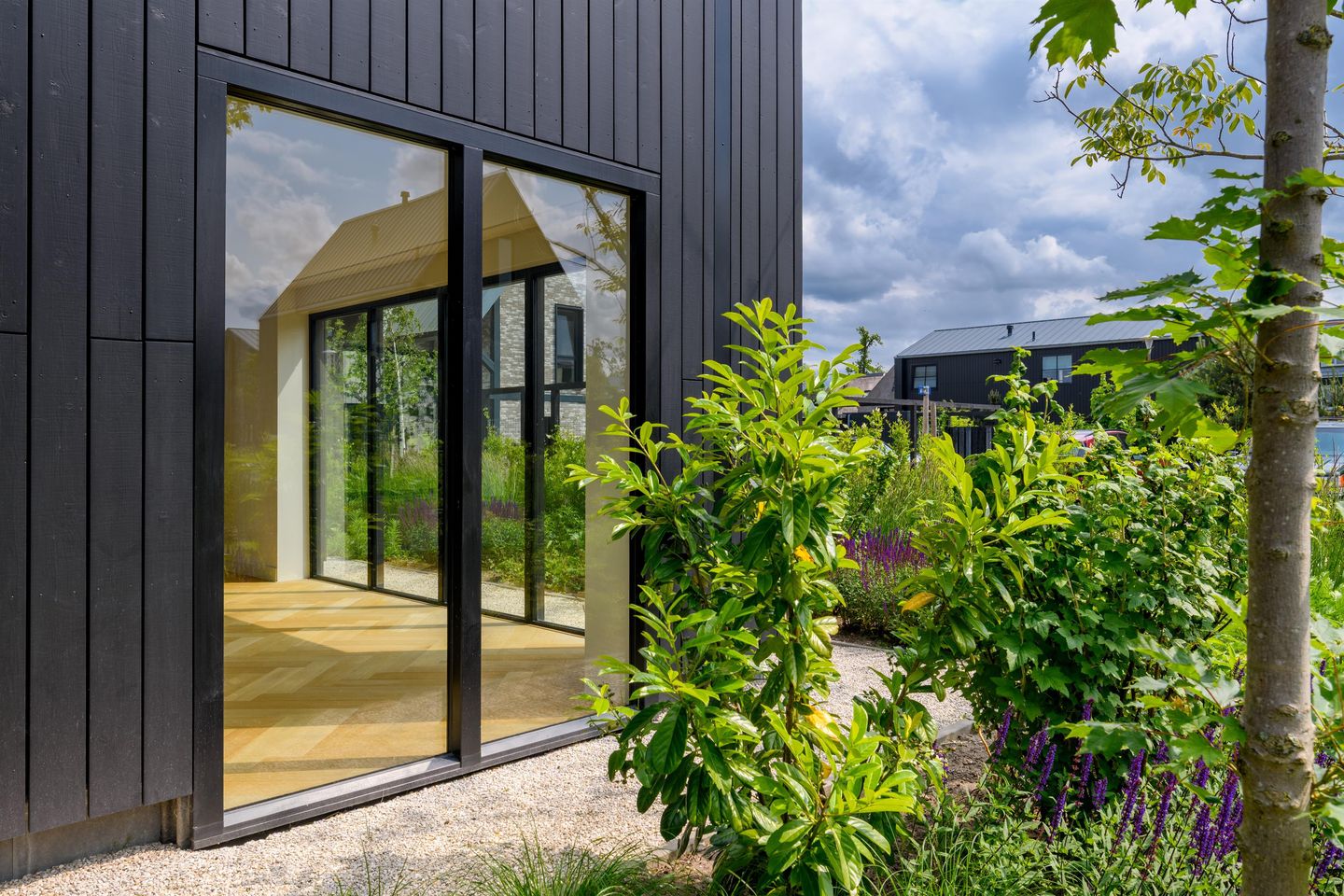 Foto 19 van IJsvogel 12