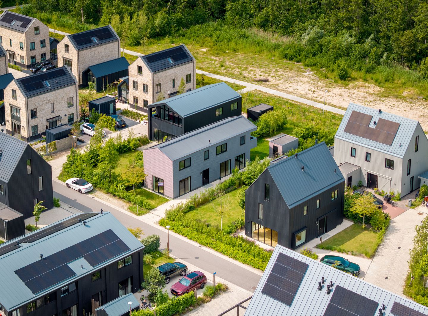 Foto 20 van IJsvogel 12