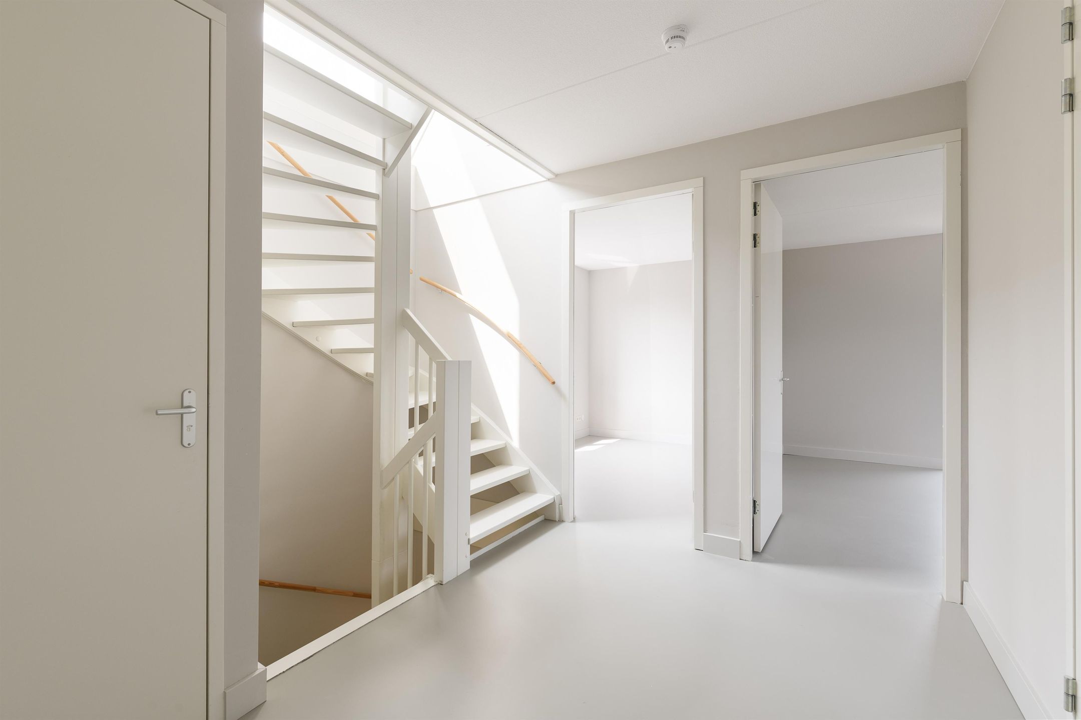 Foto 21 van IJsvogel 12