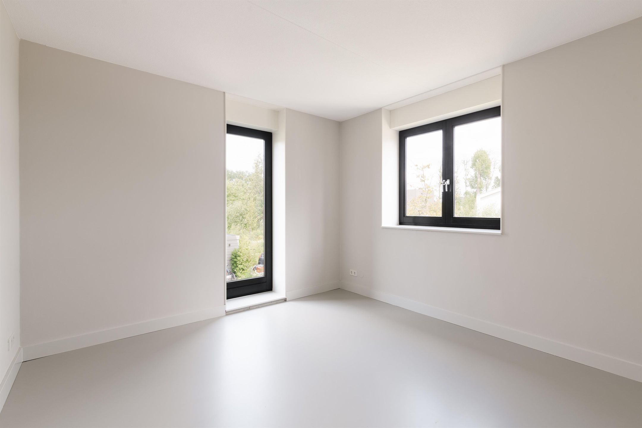 Foto 24 van IJsvogel 12