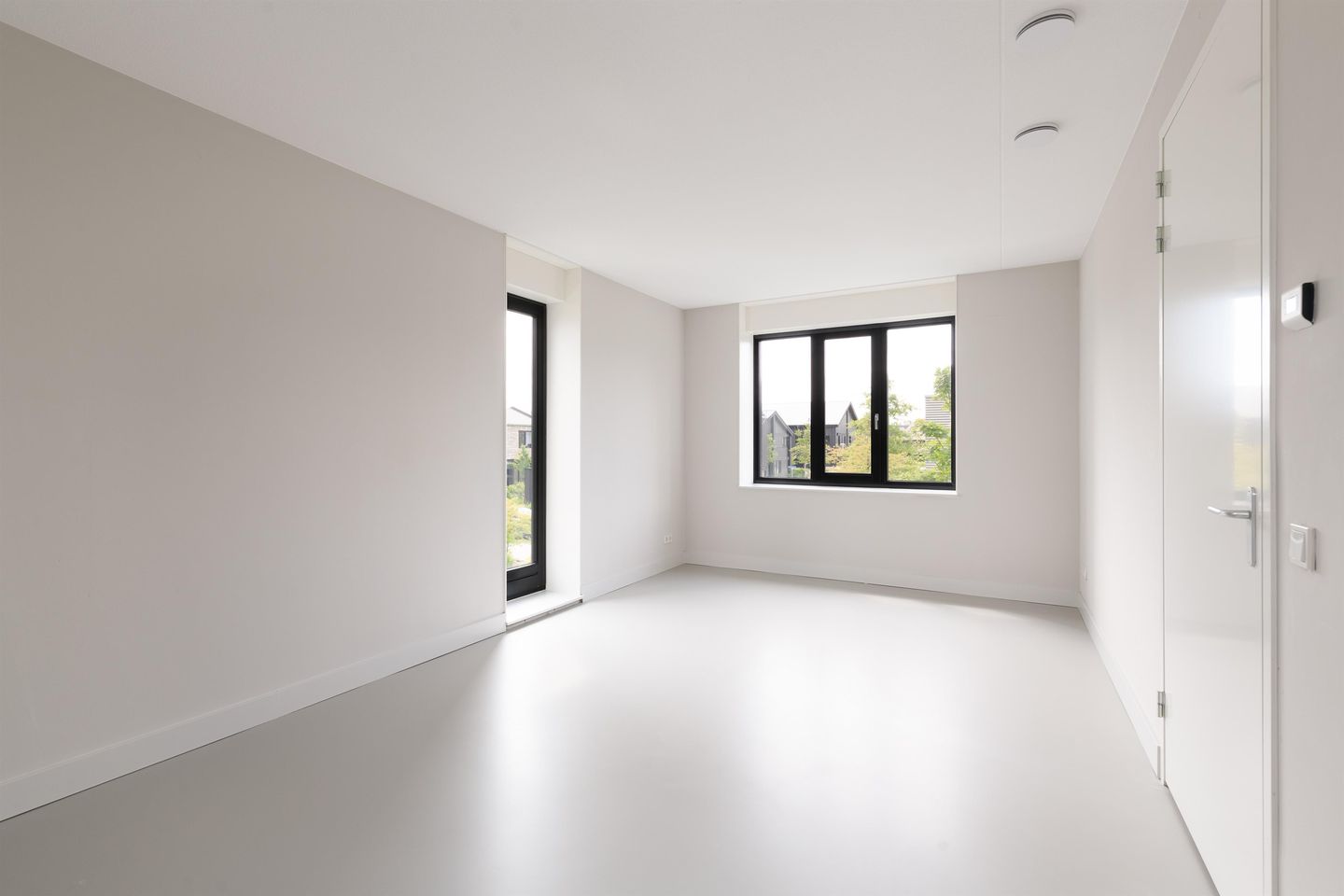 Foto 25 van IJsvogel 12