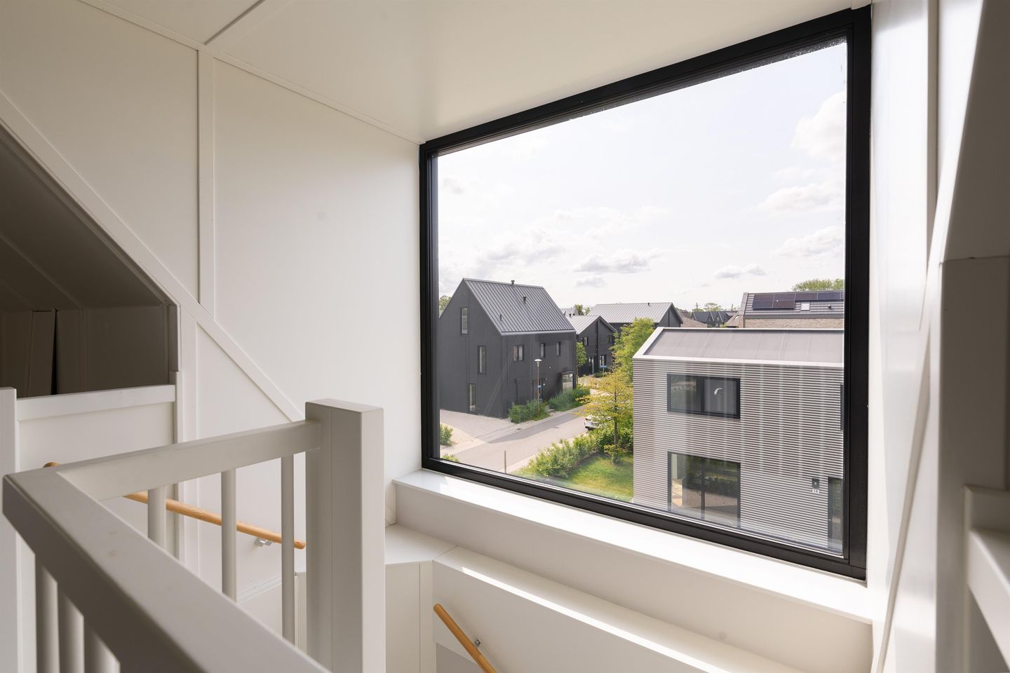 Foto 29 van IJsvogel 12