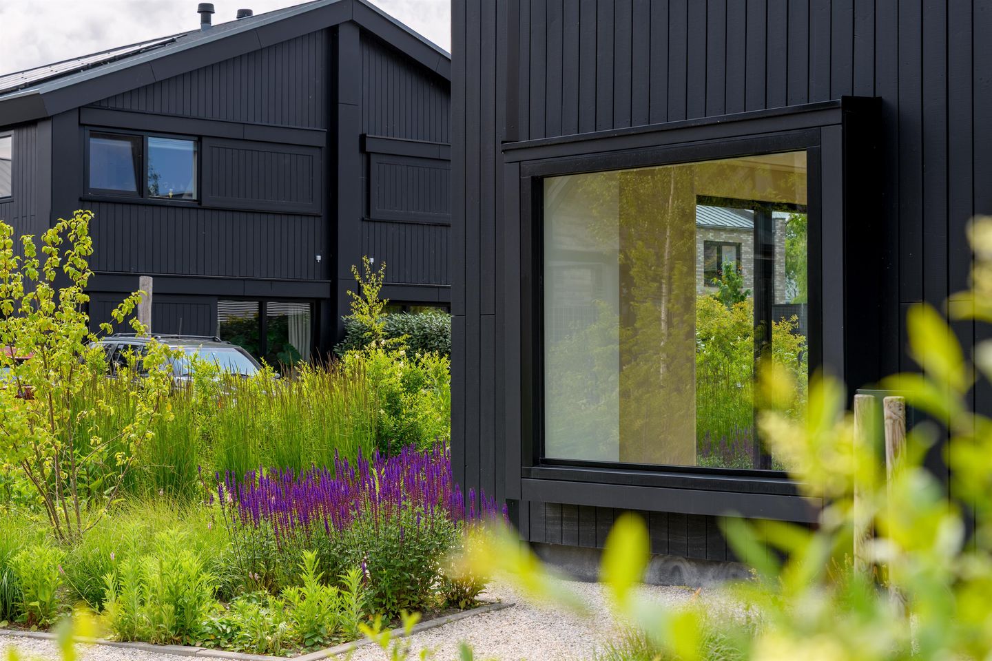 Foto 34 van IJsvogel 12