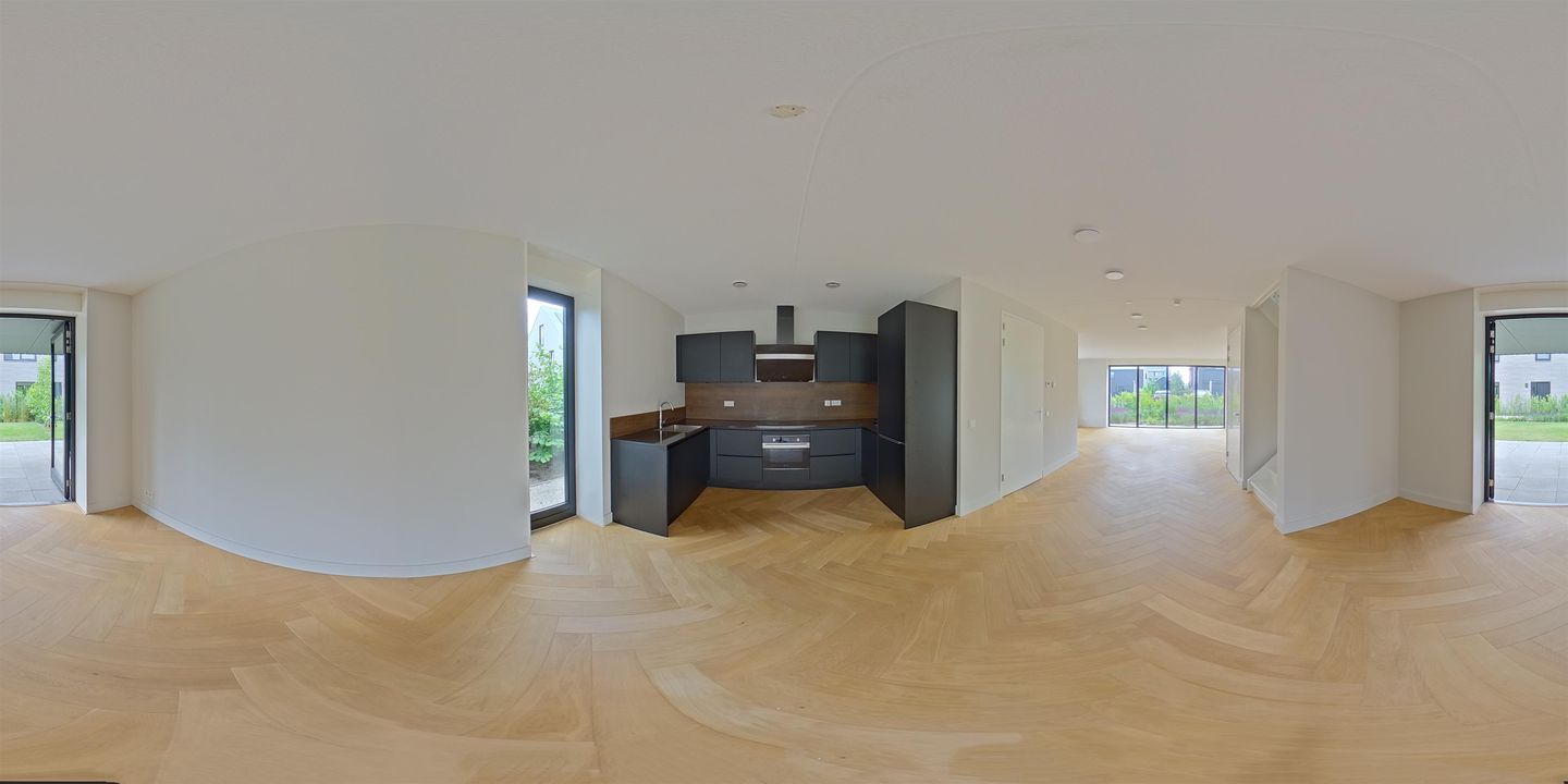 Foto 50 van IJsvogel 12