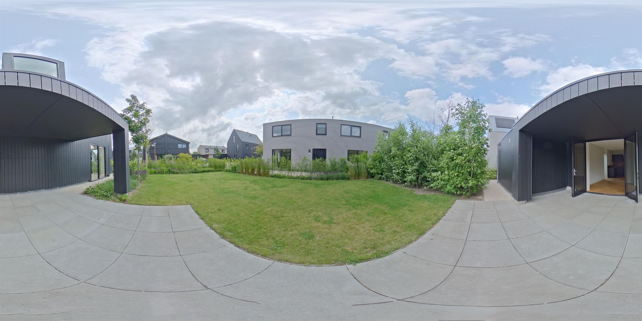 Foto 51 van IJsvogel 12